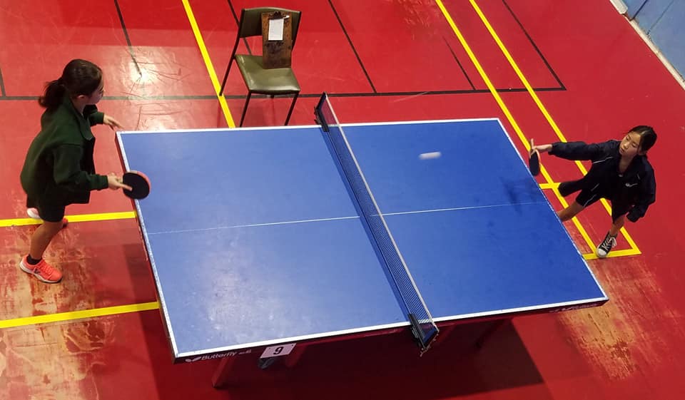 Table Tennis AJHS